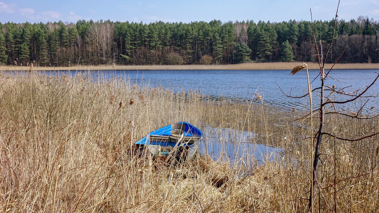 Powiewy wiosny - zdjęcie 9