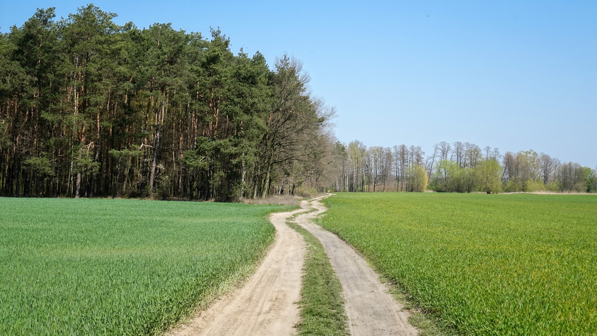 Kwiecień w obiektywie - zdjęcie 17