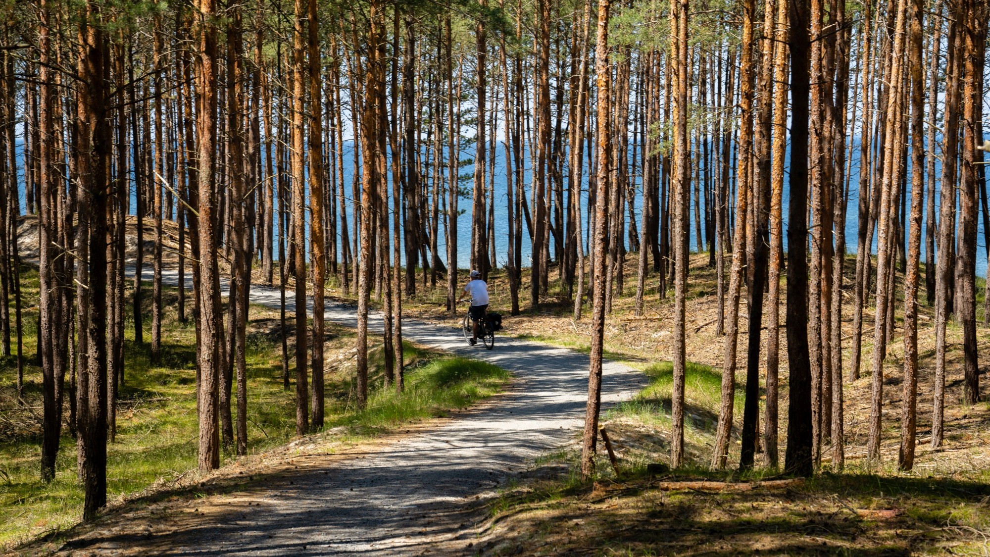 Kolory lata - zdjęcie 5