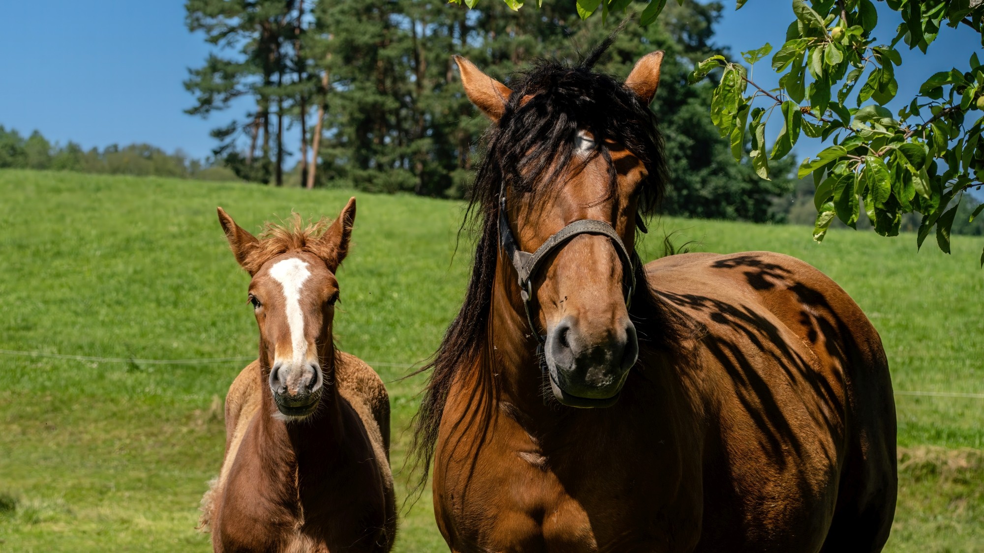 Kolory lata - zdjęcie 9