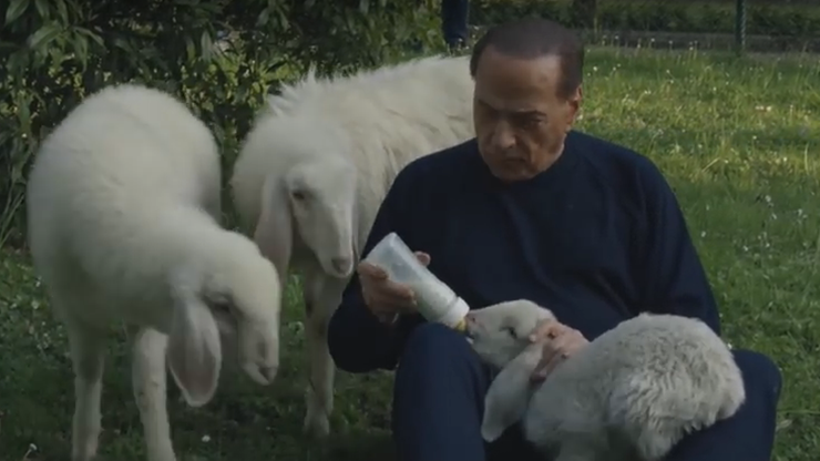 Berlusconi karmi jagnięta butelką. W ramach kampanii "W Wielkanoc wybierz życie"