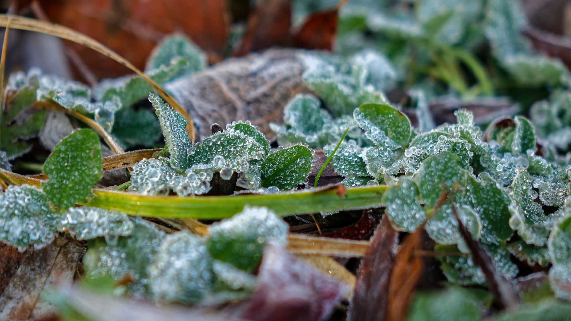 Polskie krajobrazy w 2019 roku - zdjęcie 28
