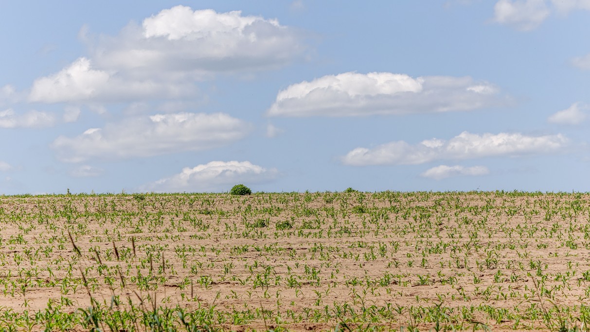 Maj w obiektywie - zdjęcie 17