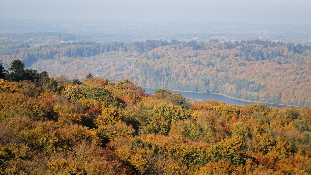 Październik w obiektywie - zdjęcie 24