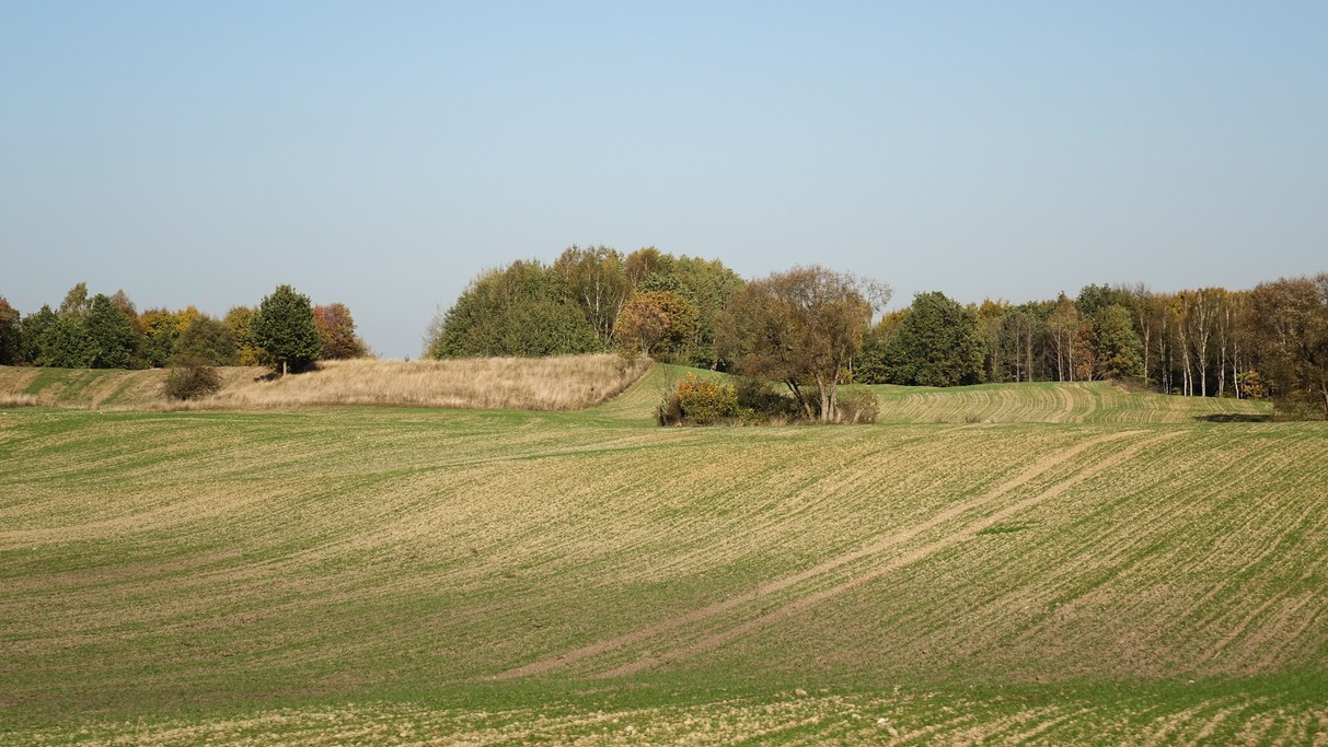 Podróż przez jesienną Polskę - zdjęcie 51