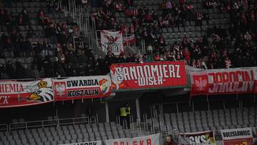 Litewska policja wydała komunikat po meczu Litwa - Polska. Tak zachowywali się kibice