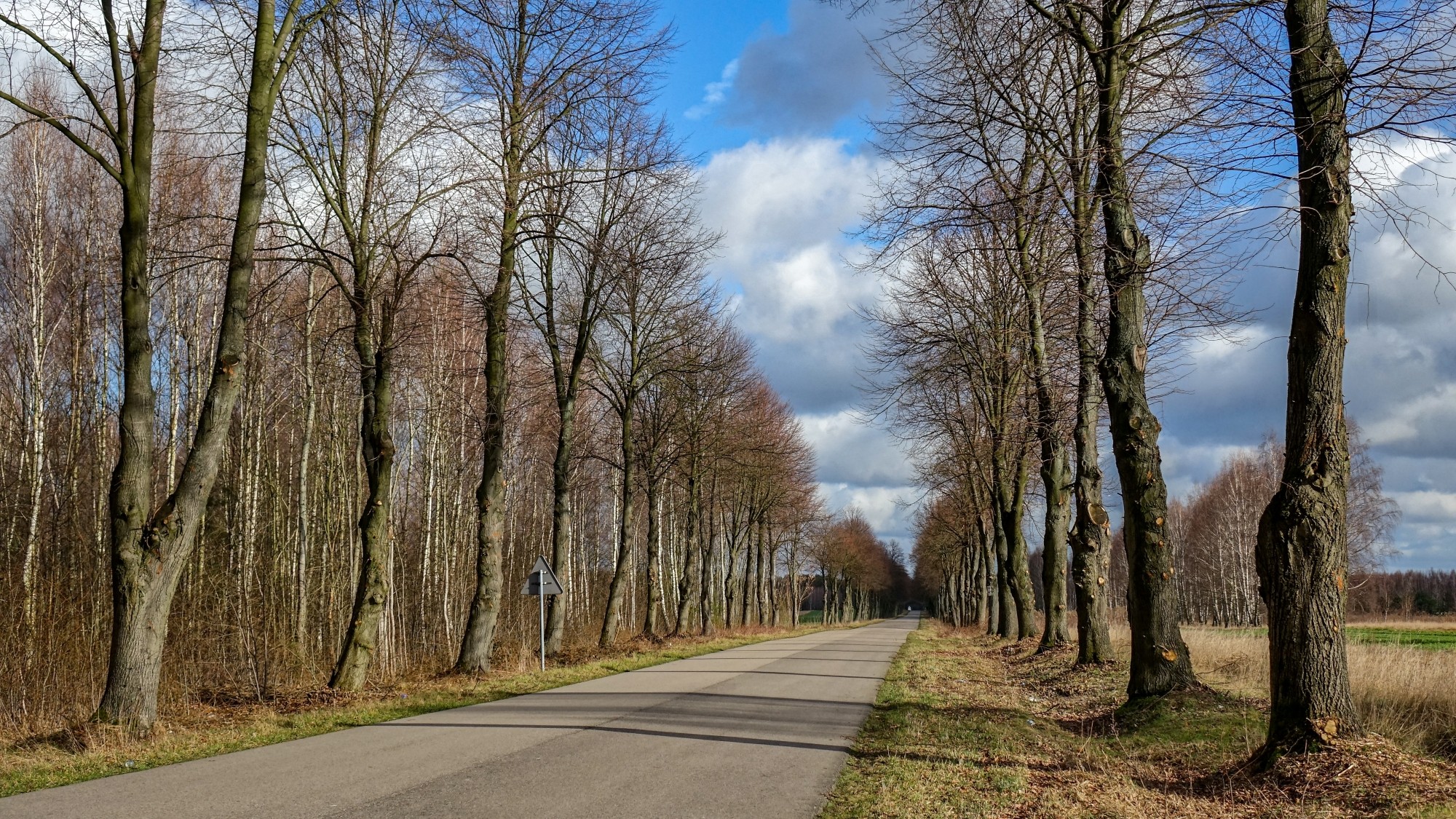Najcieplejsza zima w historii - zdjęcie 18