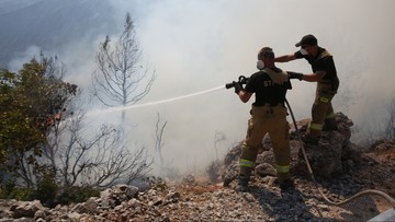 Zostaną dłużej. Polscy strażacy przedłużają misję w Grecji