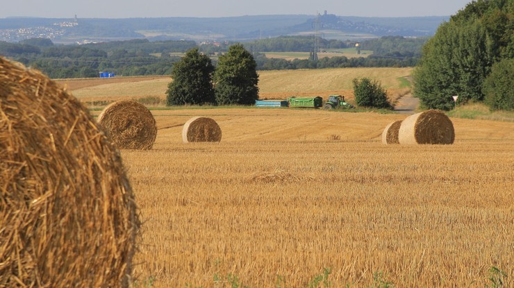 Rząd przyjął projekt nowelizacji ustawy dot. obszarów wiejskich