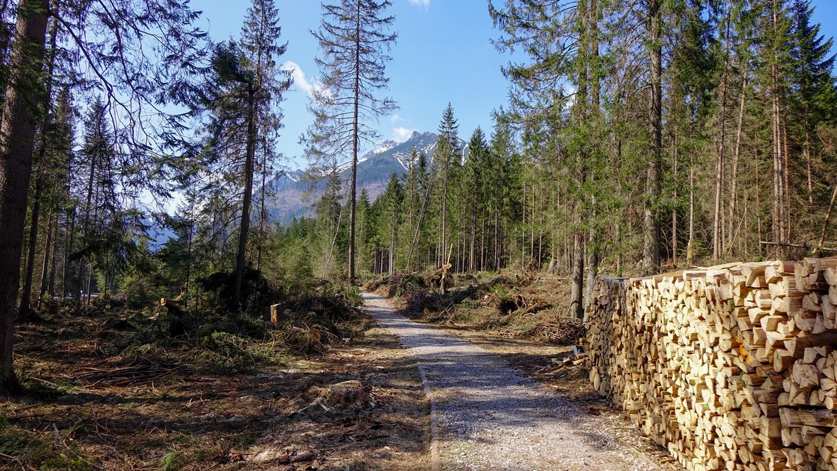 Majówka w Tatrach - zdjęcie 15