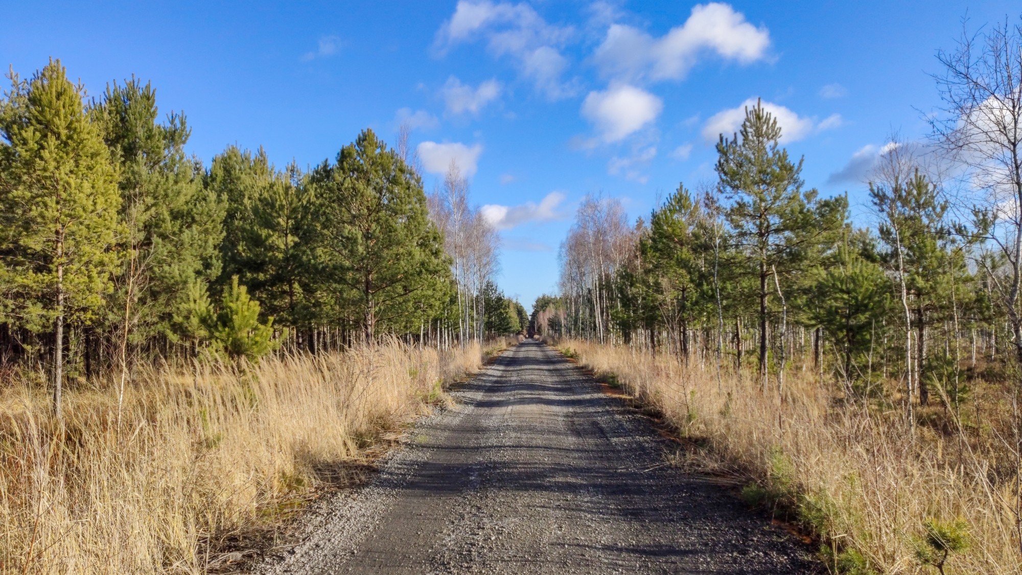 100 najpiękniejszych zdjęć 2020 roku - zdjęcie 39