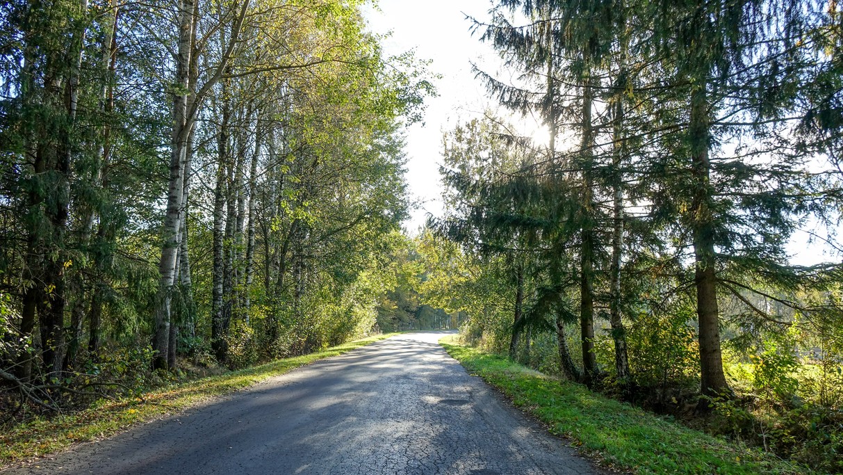 Jesienne krajobrazy za miastem - zdjęcie 62