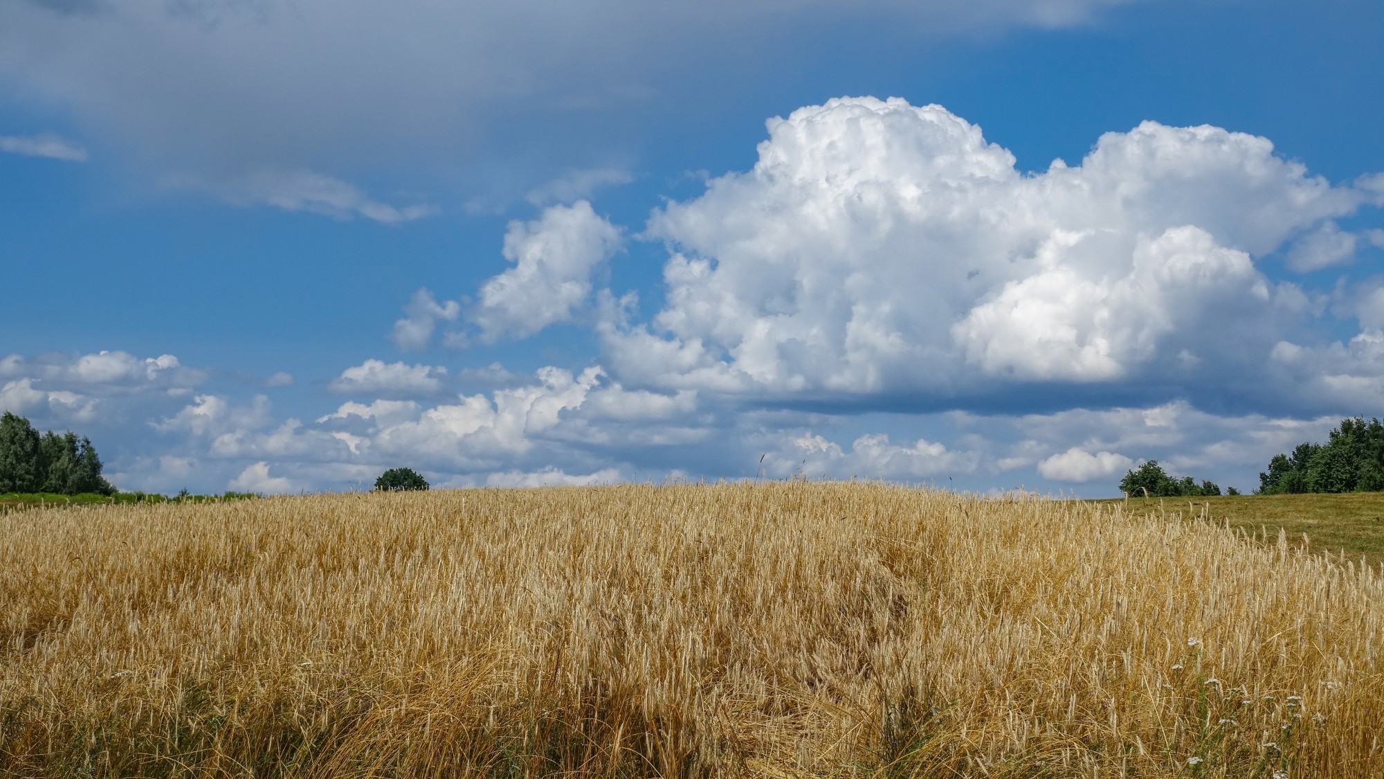 Wakacyjne podróże - zdjęcie 34