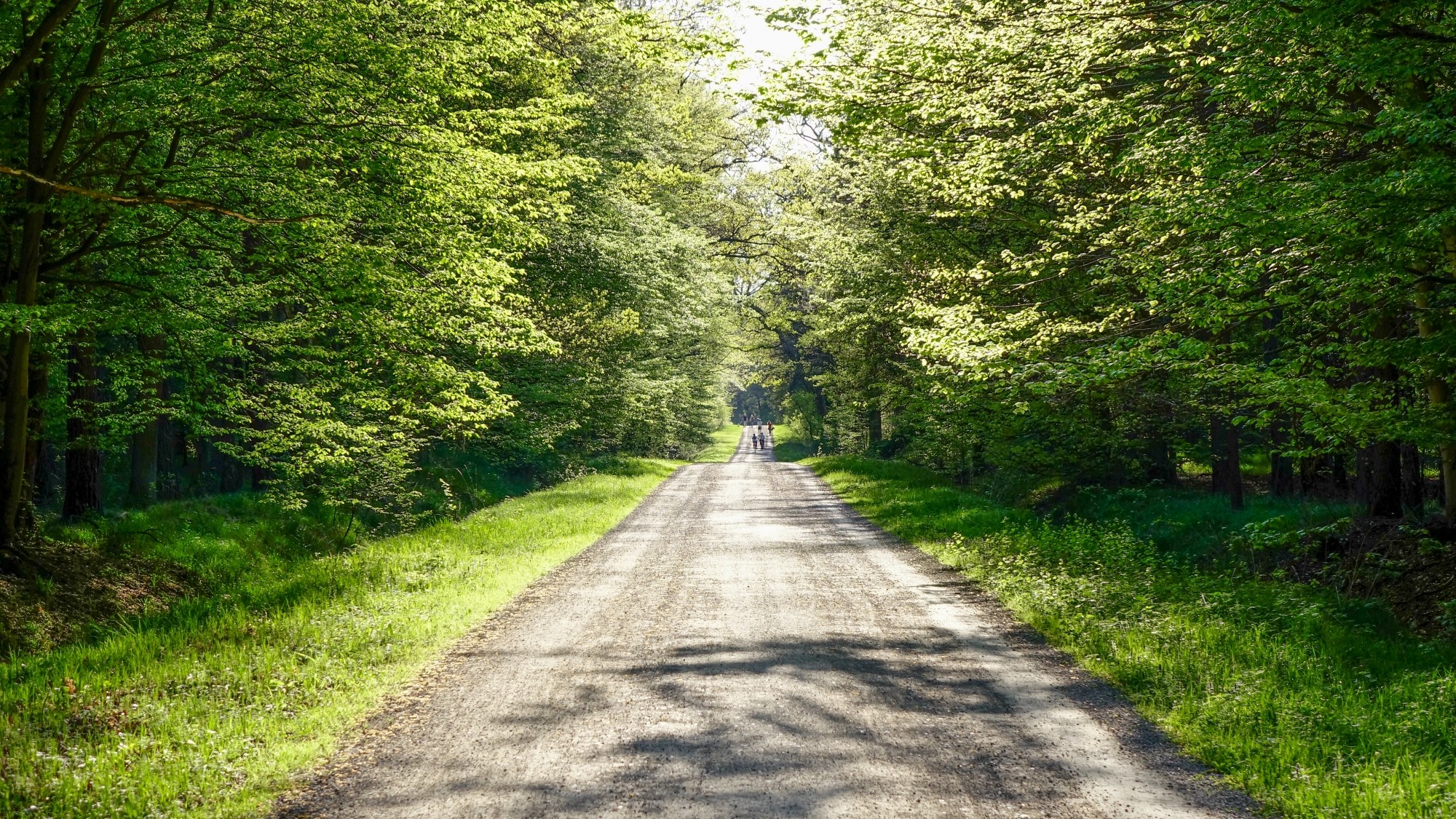 Cztery wakacyjne oblicza Polski - zdjęcie 28