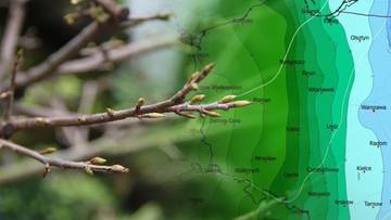 Nadciąga fala ciepła. Wiadomo, kiedy wiosna rozgości się na dobre