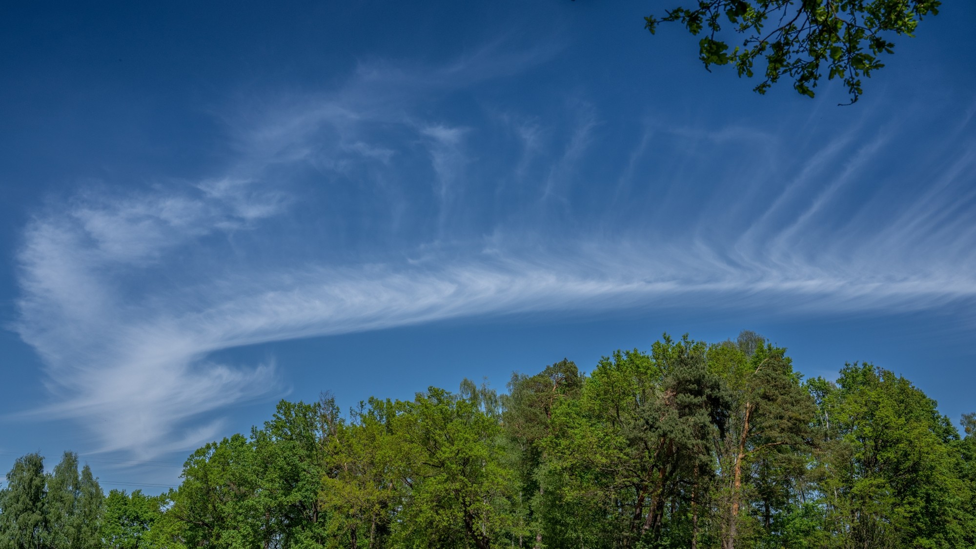 Wiosenna opowieść - zdjęcie 20