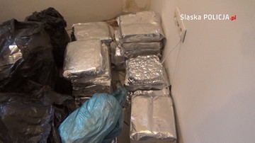 Policja rozbiła dwa gangi pseudokibiców na Śląsku i przejęła narkotyki warte prawie 2 mln zł