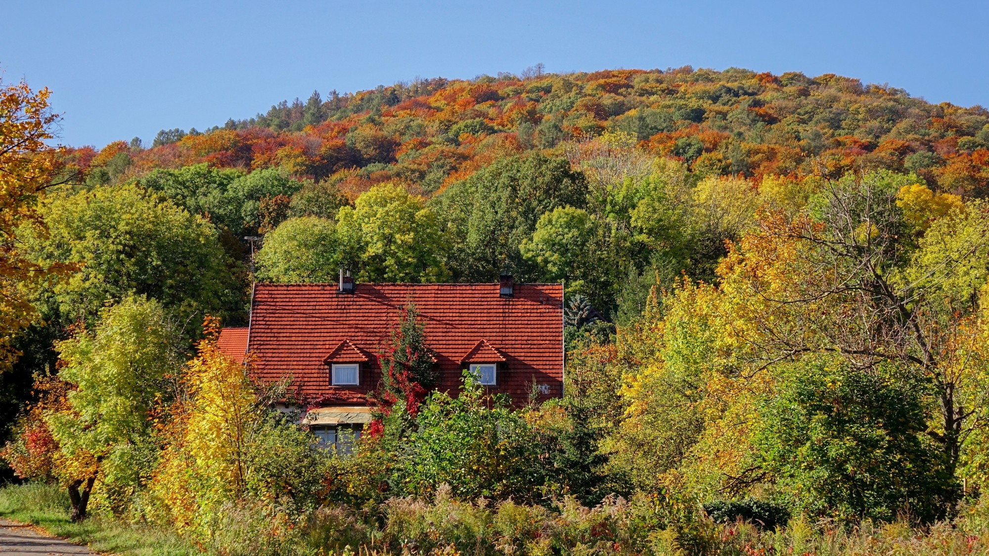 Jesień w górach, lasach i nad jeziorami - zdjęcie 33
