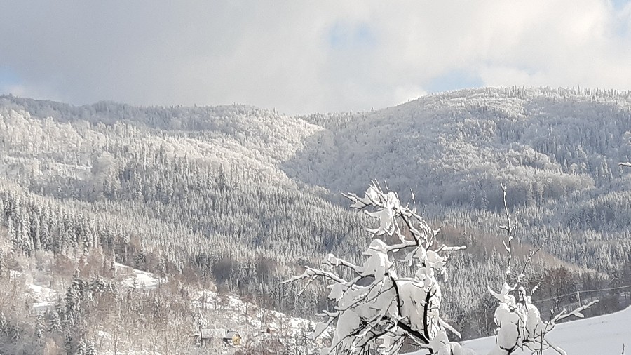 Zima w Beskidzie Wyspowym. Fot. Czytelnik / TwojaPogoda.pl