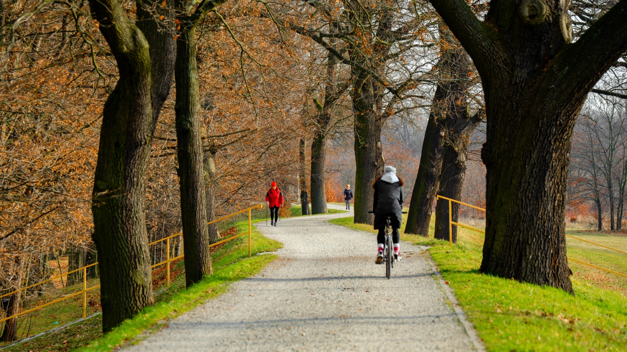Różne oblicza zimy - zdjęcie 34