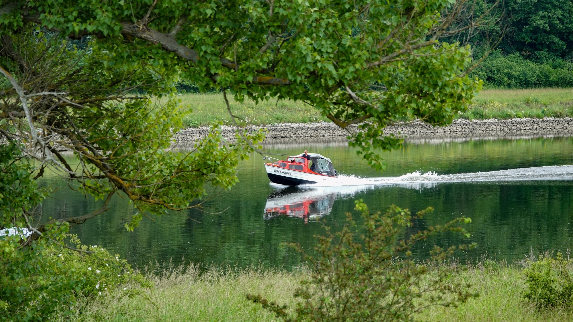 Całe piękno późnej wiosny - zdjęcie 26