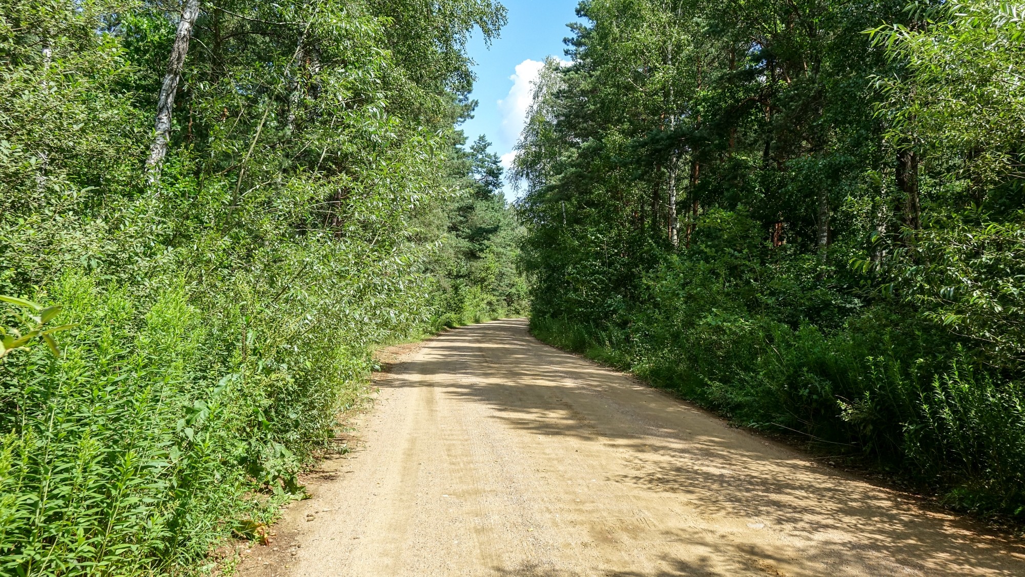 Urocze zakątki w lasach - zdjęcie 43