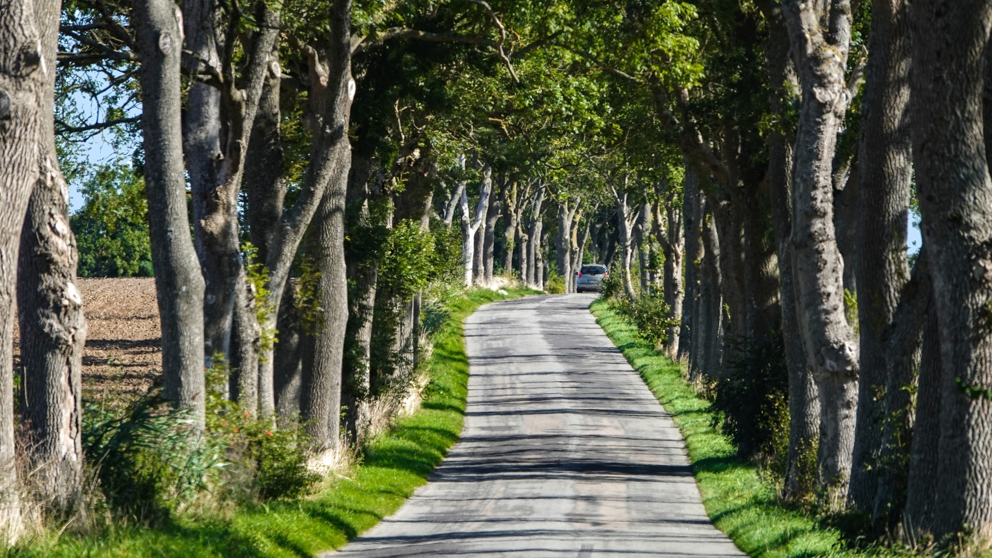 100 najpiękniejszych zdjęć 2020 roku - zdjęcie 40