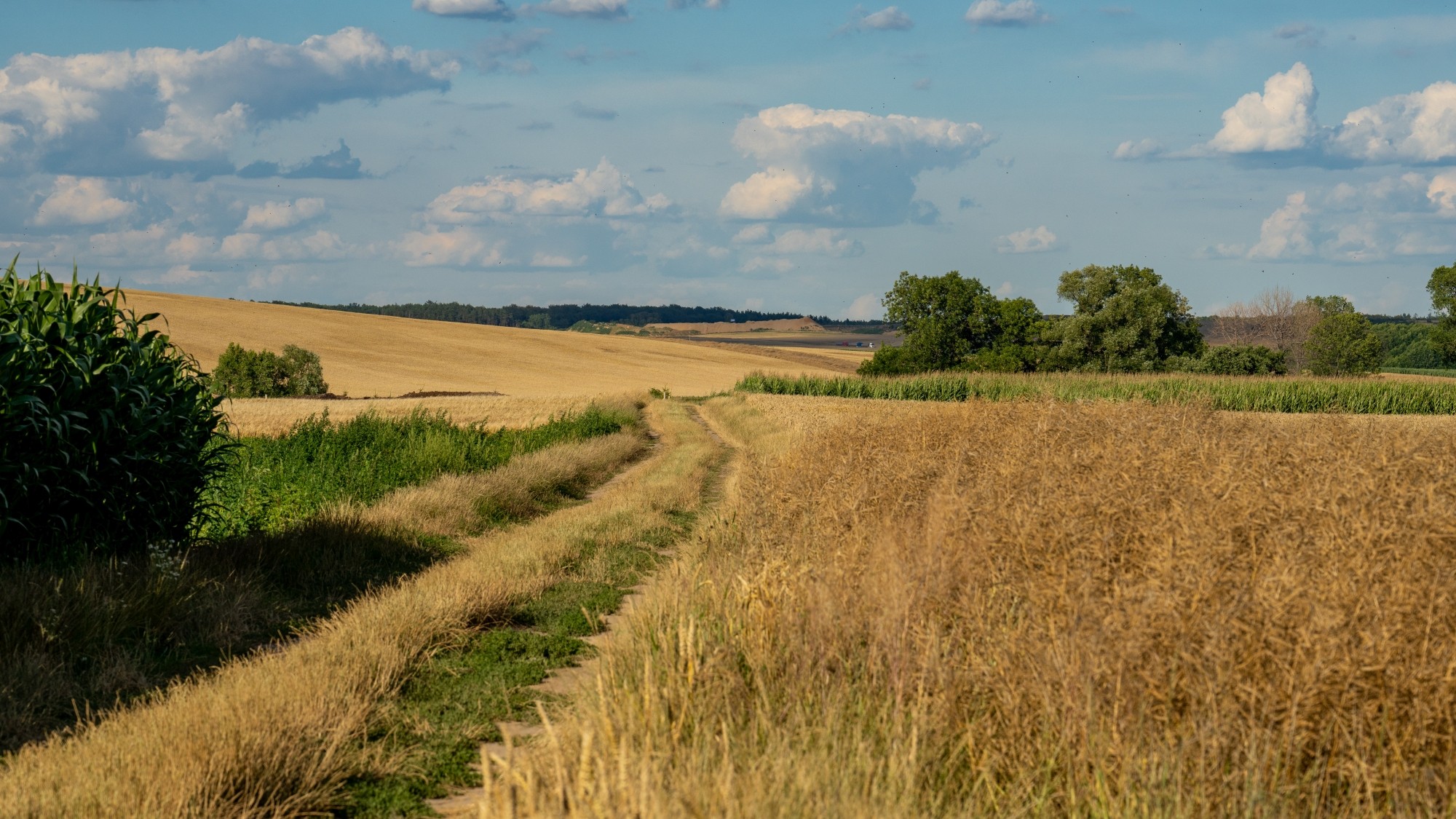 Kolory lata - zdjęcie 41