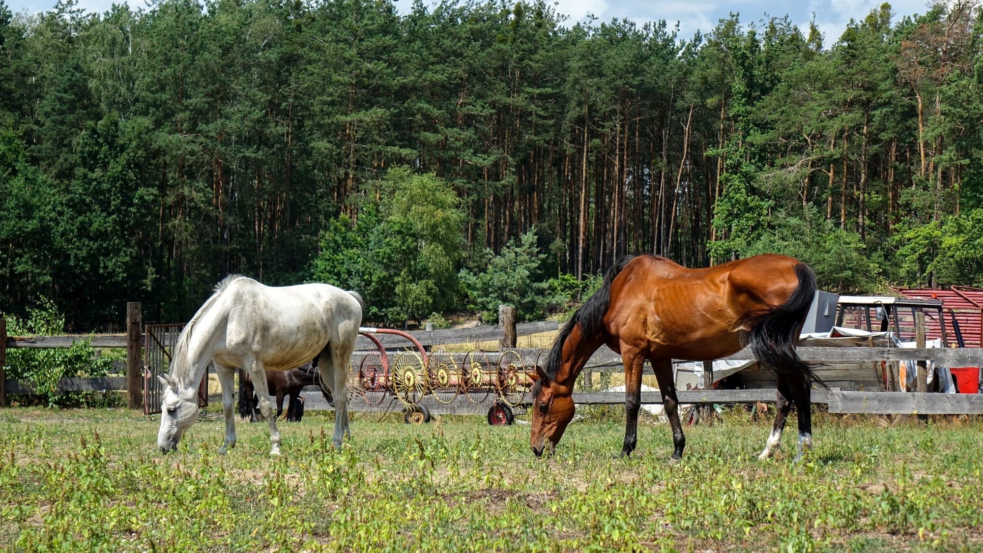 Lipiec w obiektywie - zdjęcie 18