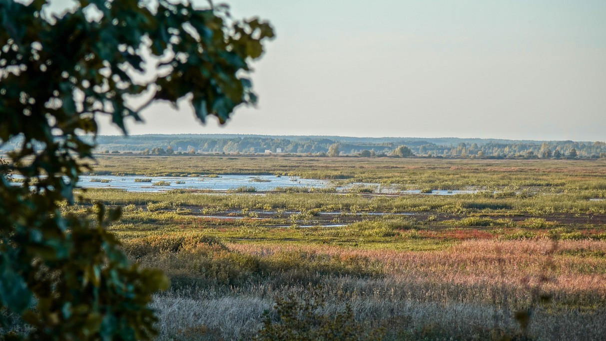 Jesienne krajobrazy za miastem - zdjęcie 64