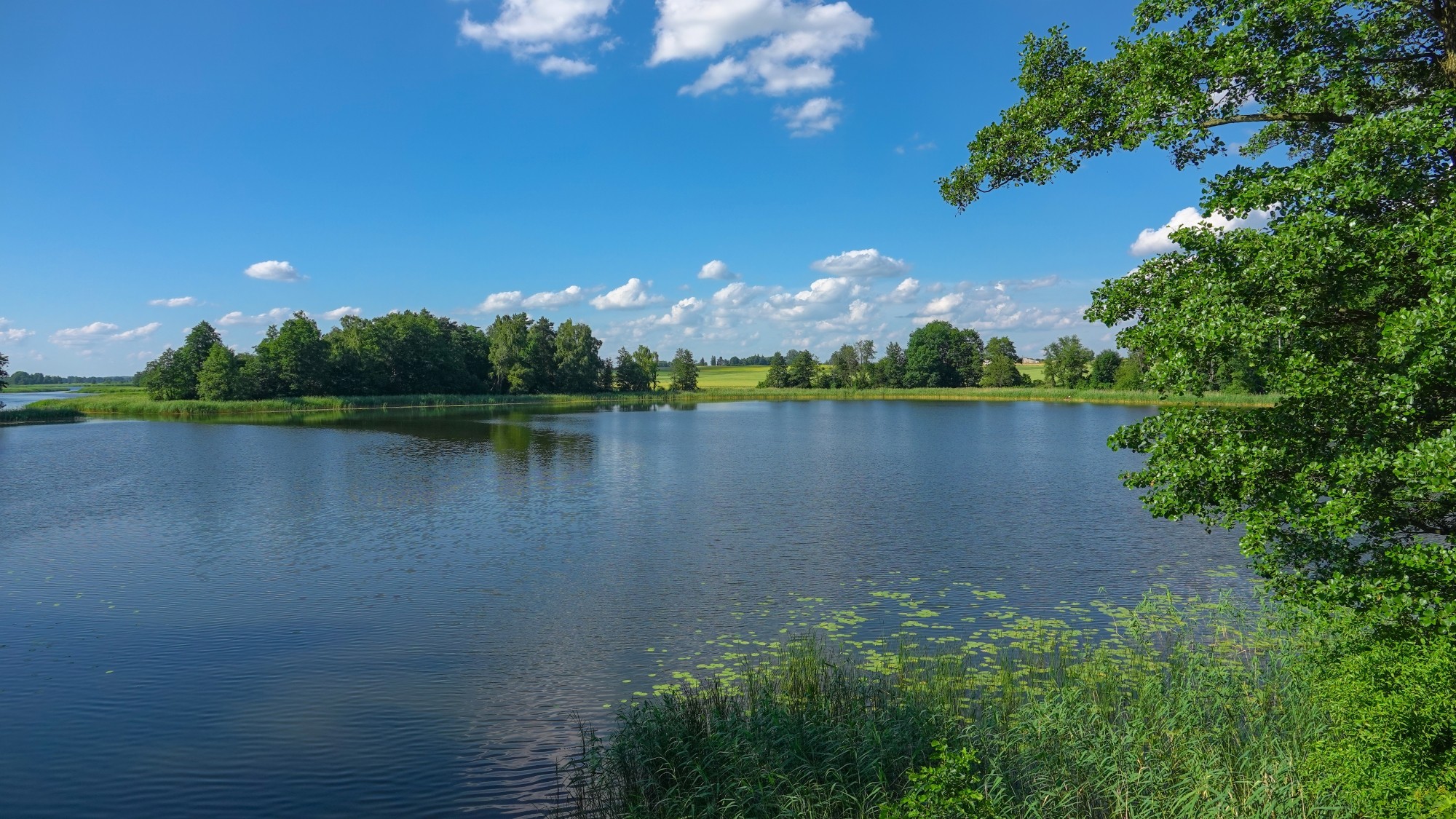 100 najpiękniejszych zdjęć 2021 roku - zdjęcie 66