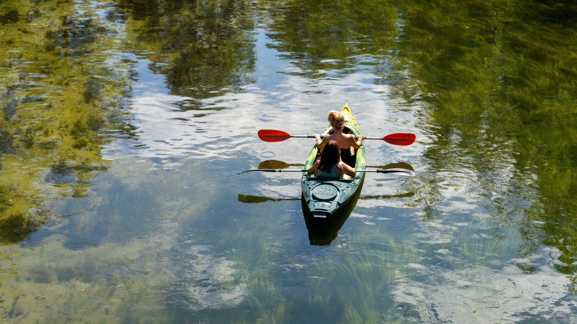 Kolory lata - zdjęcie 56