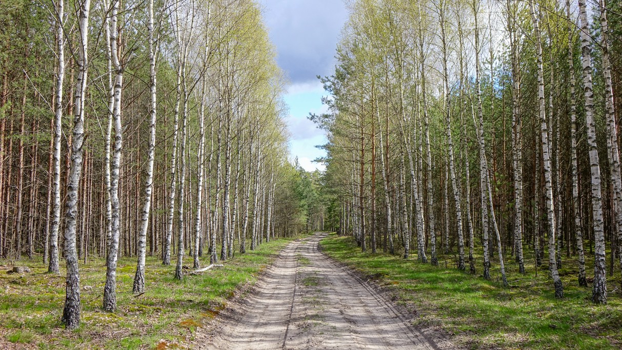 Maj w obiektywie - zdjęcie 20