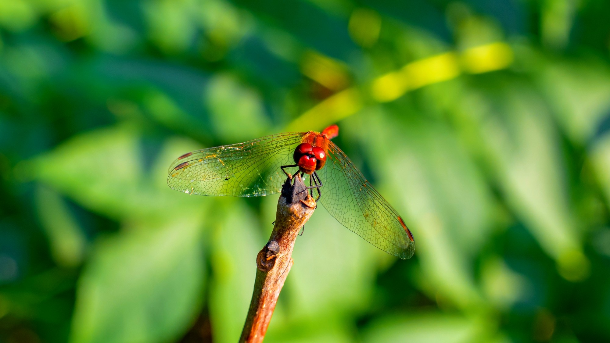 Wśród natury - zdjęcie 18