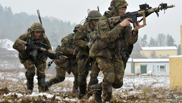 Holandia stanie się bezbronna? Szef sił zbrojnych prosi rząd o pieniądze