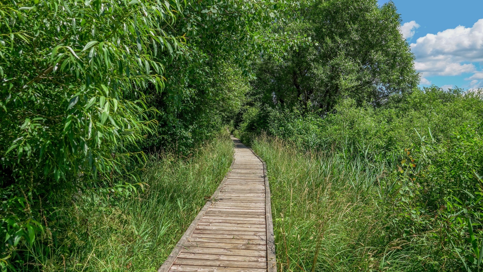 100 najpiękniejszych zdjęć 2021 roku - zdjęcie 39