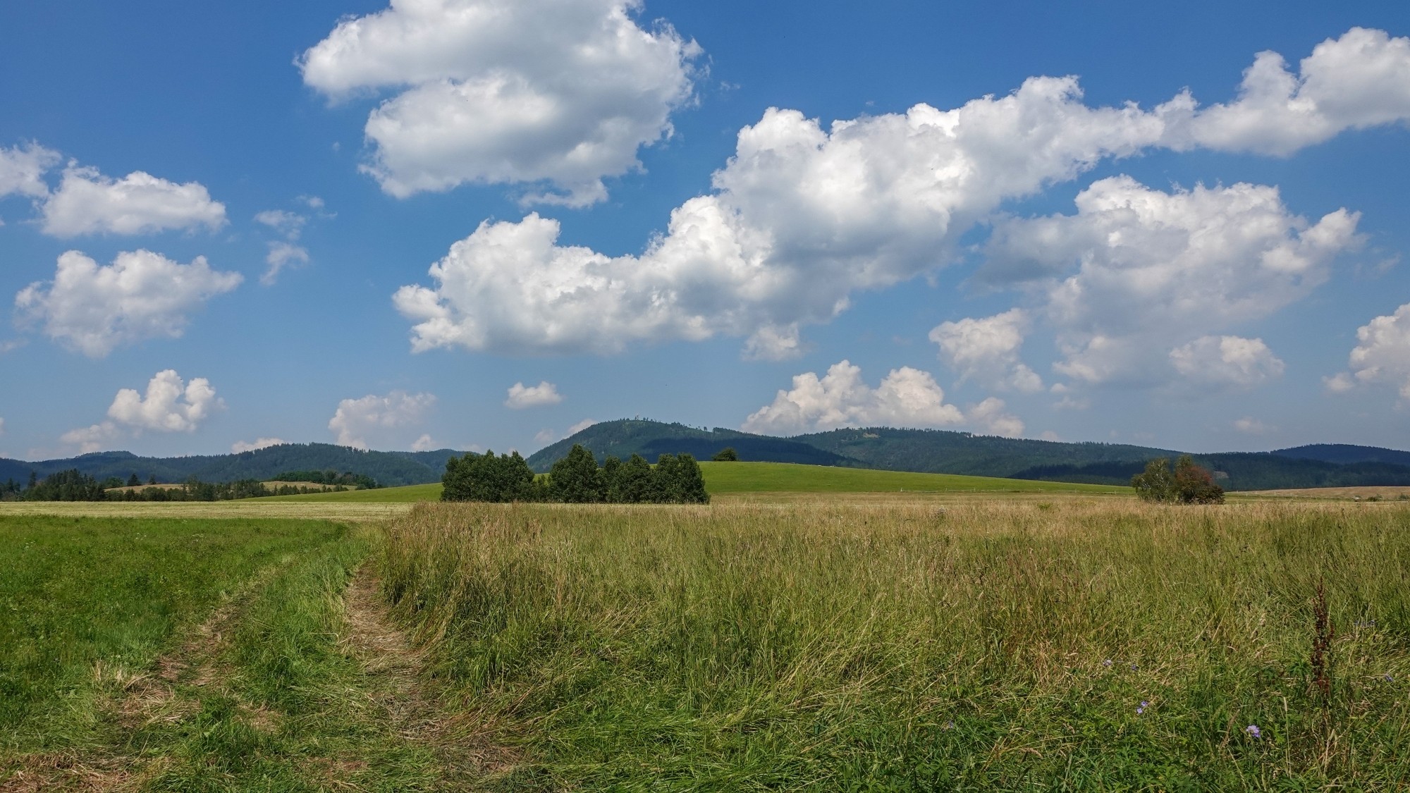 Na pożegnanie lata - zdjęcie 28