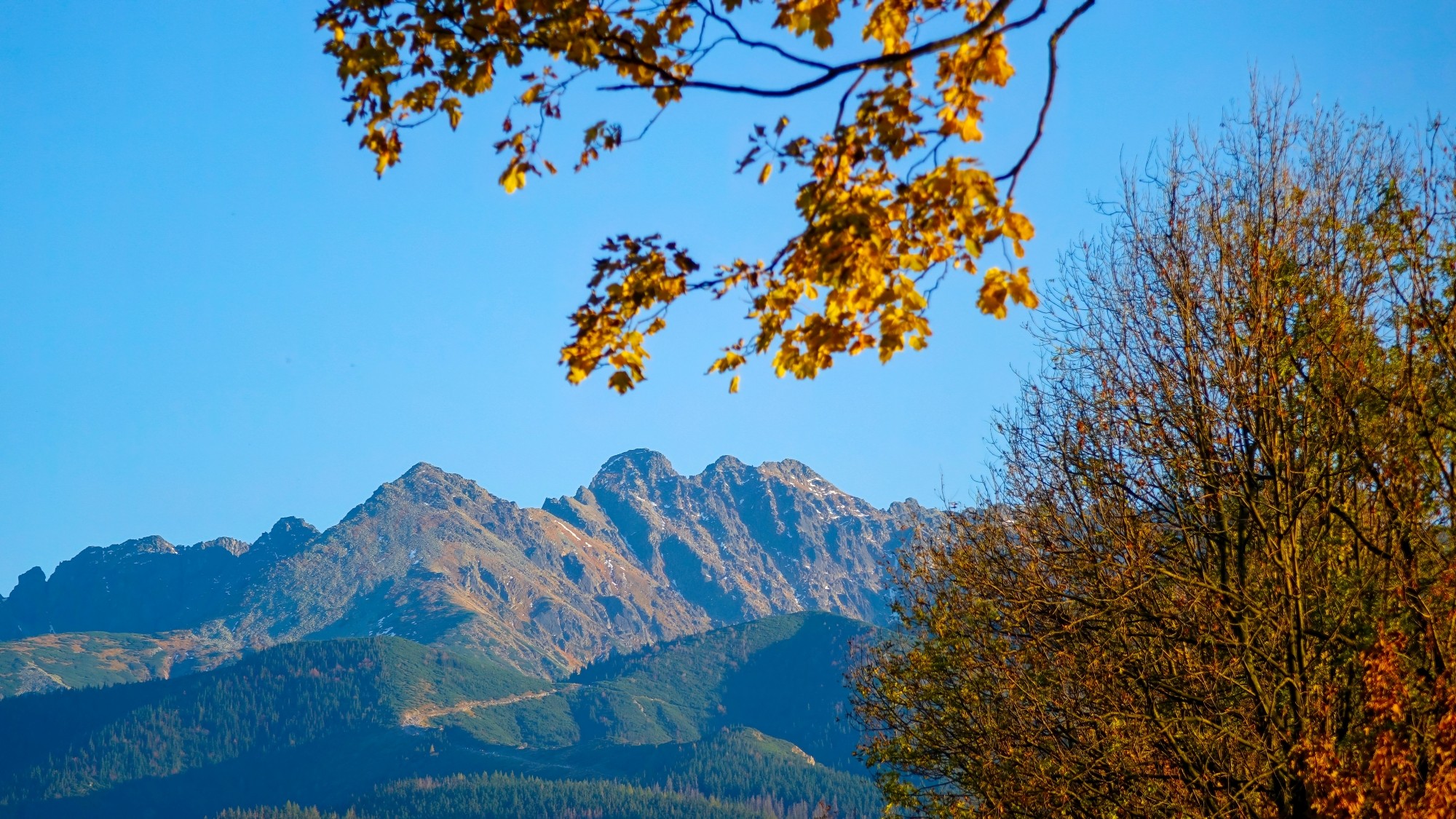 Kraina jesieni - zdjęcie 24