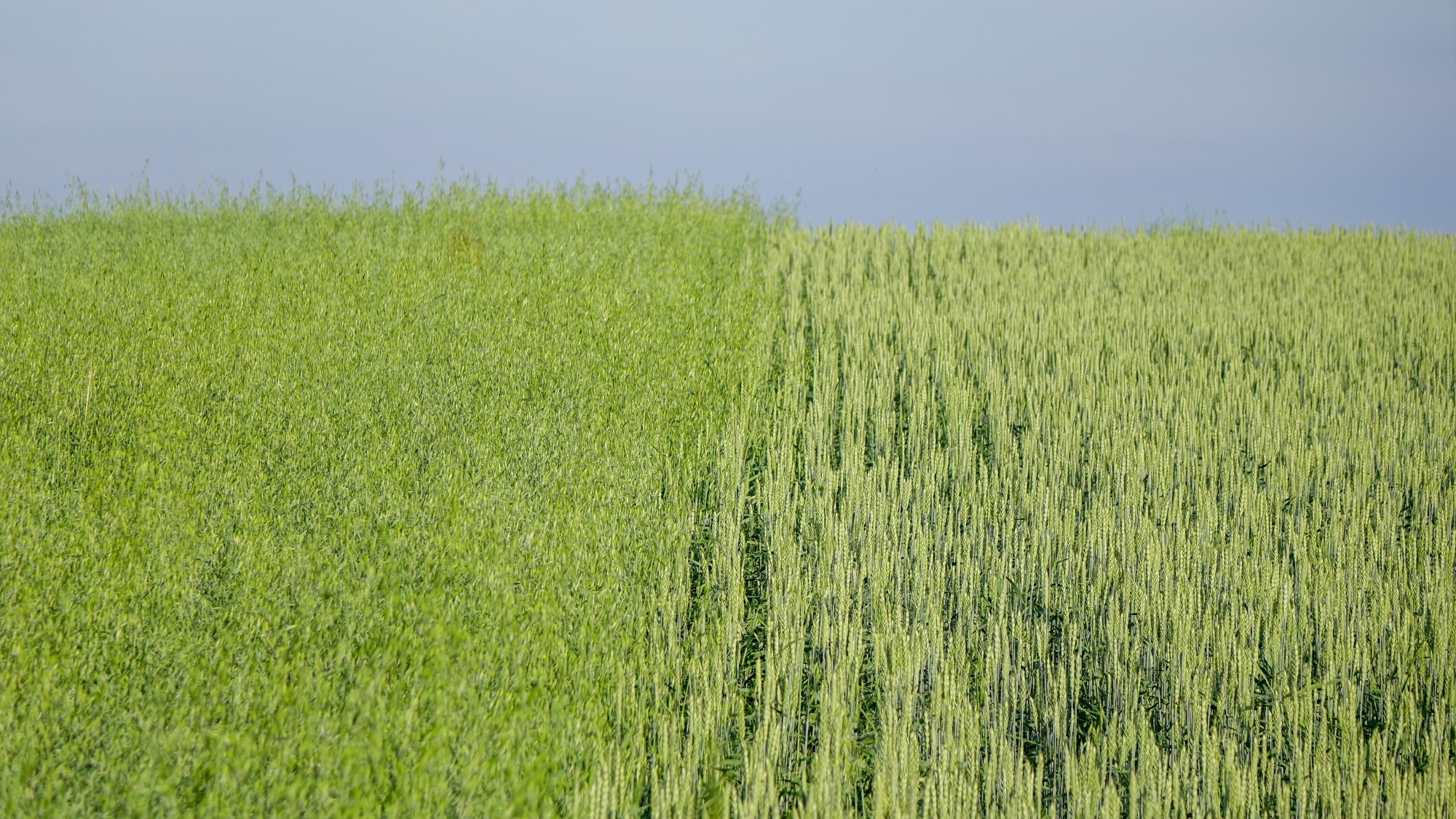 Wakacje minionych lat - zdjęcie 39