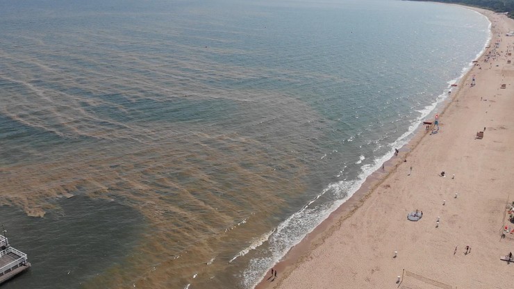 Sinice w Bałtyku. Woda nieprzydatna do kąpieli na 8 nadmorskich kąpieliskach na Pomorzu