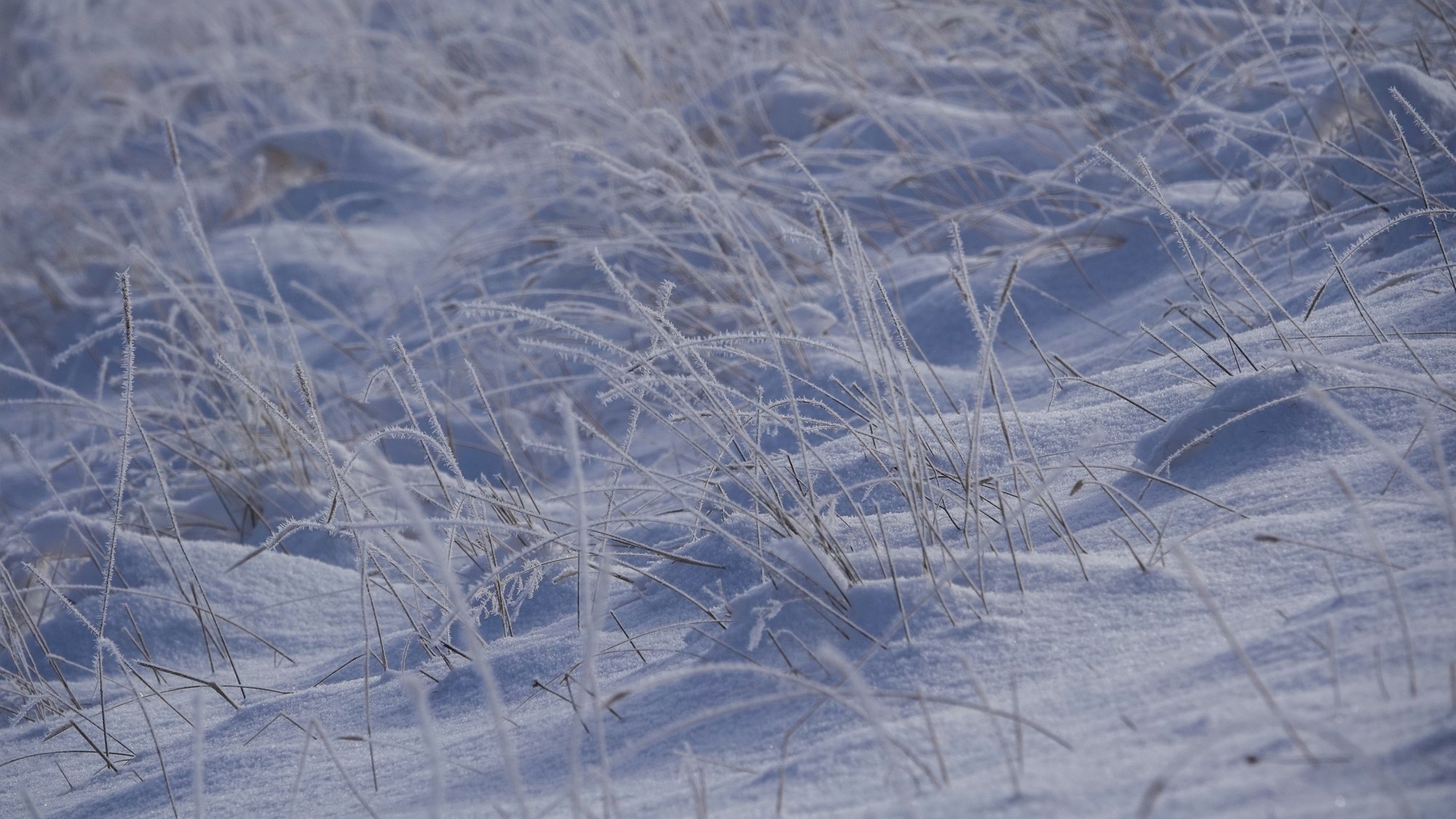 Tatry zimą - zdjęcie 31