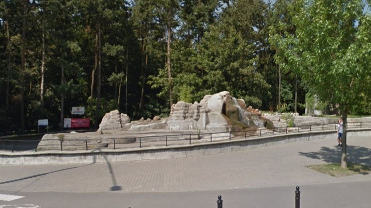 Niedźwiedzie zniknęły z wybiegu przed warszawskim zoo