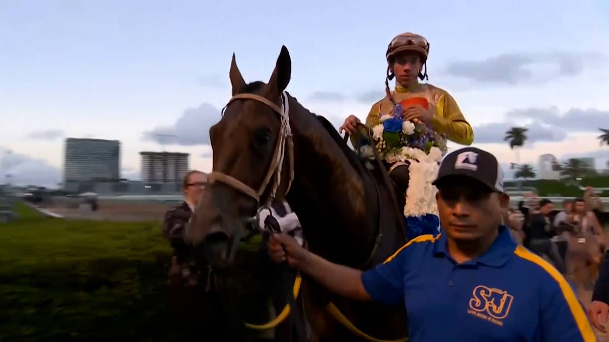 Koń wyścigowy z jeźdźcem, prowadzony przez obsługującego go człowieka.