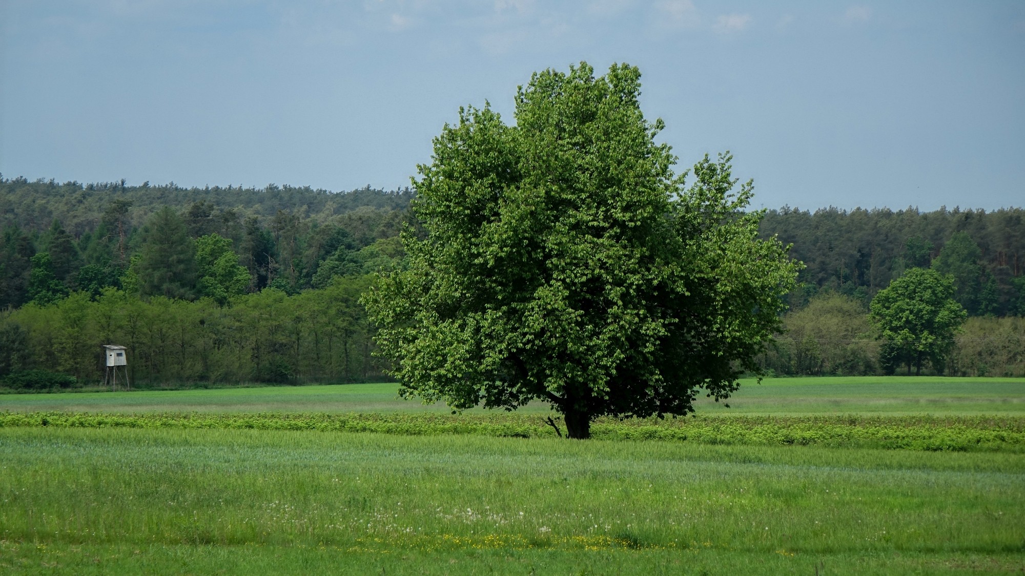 Maj w obiektywie - zdjęcie 33