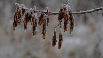 Siarczyste mrozy zbliżają się do Polski. Termometry wskażą do -26 stopni