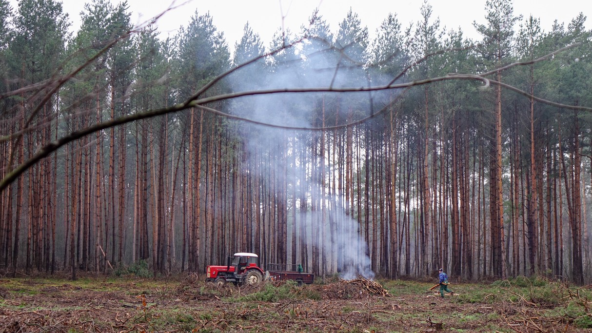 Grudzień w obiektywie - zdjęcie 14