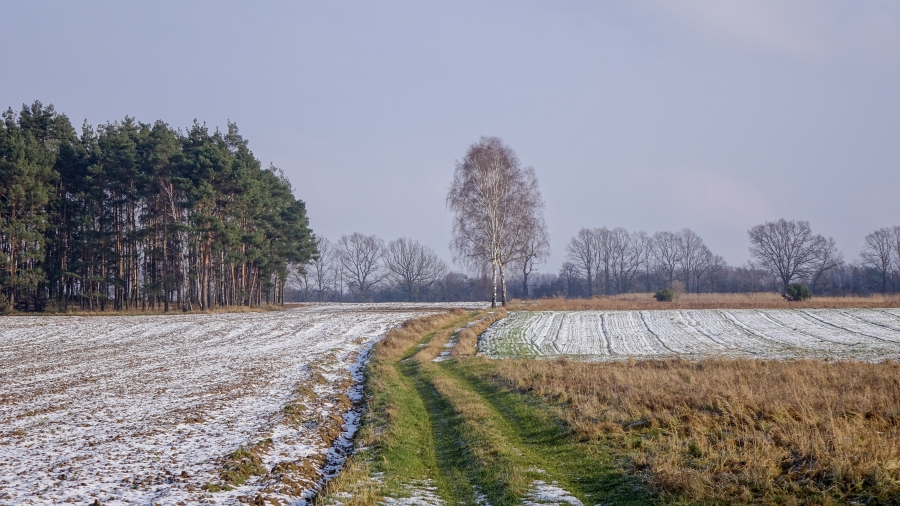 14.02.2018 08:00 Wybraliśmy dla Was najlepsze zdjęcia stycznia w Polsce. Zobaczcie