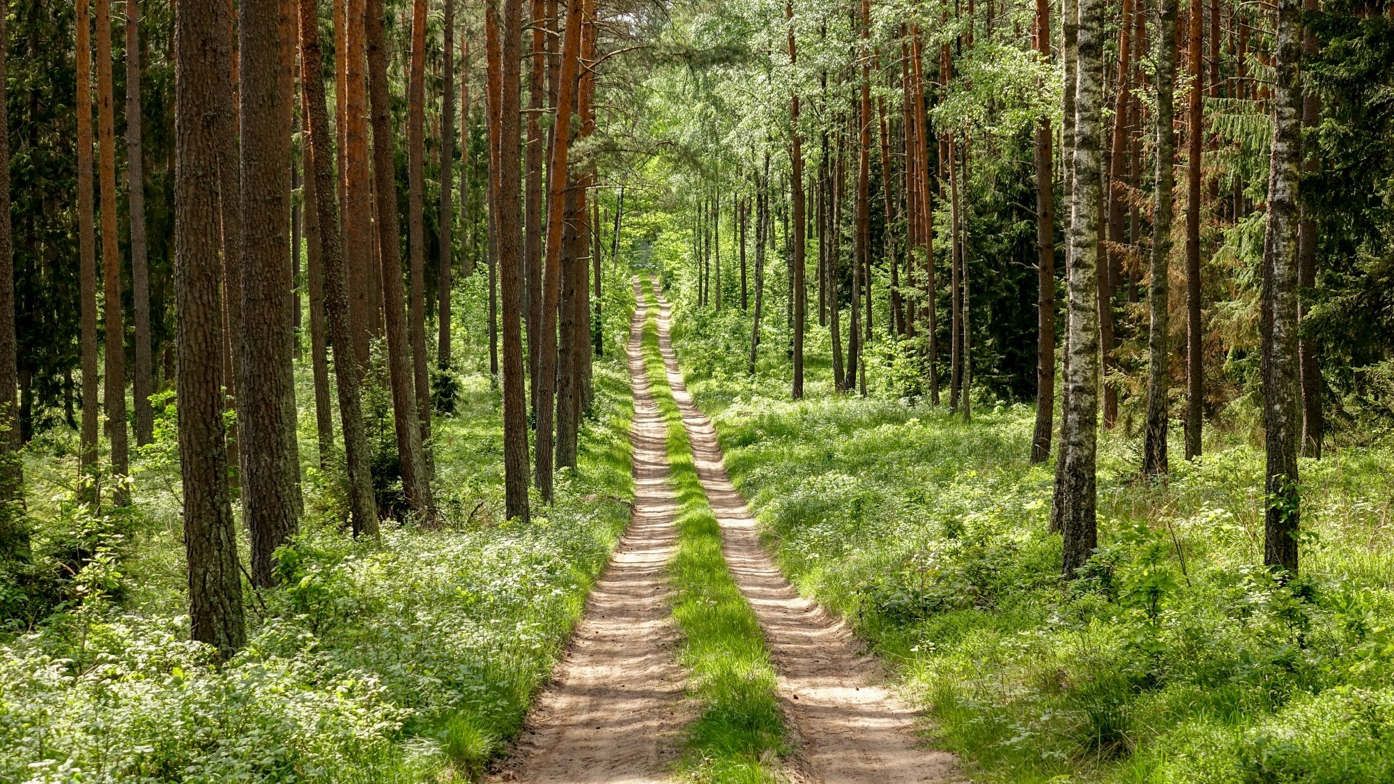 Mazury wiosną - zdjęcie 20