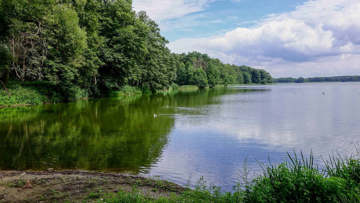 Nad morzem, jeziorami i rzekami - zdjęcie 56