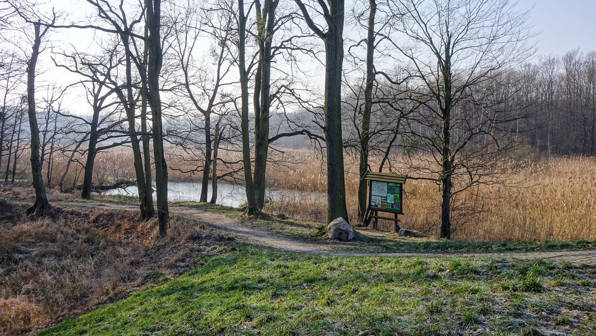 Styczeń w obiektywie - zdjęcie 22